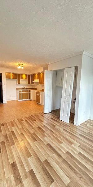 2 CH - 1 SDB - Sherbrooke - $1,150 /mo - Photo 1