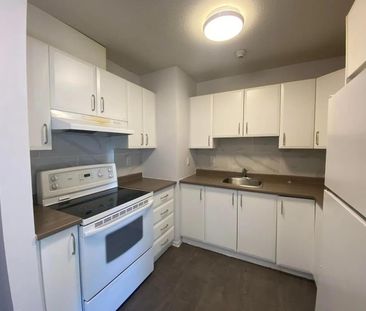 45 Rue Du Curé-André-Préseault (Gatineau) Grand Logement 2 Chambres - Photo 2