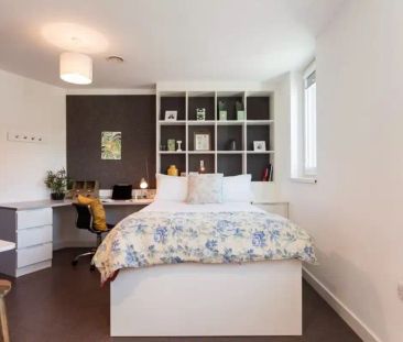 Gold Studio Accessible - Photo 6