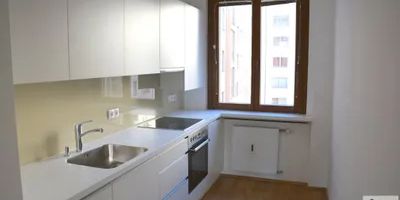 Innenstadt Apartment 131m² Nähe Schwedenplatz - Photo 3