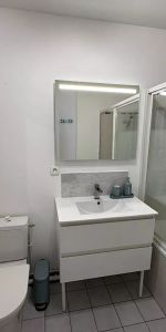 Appartement meublé à louer sur Meaux 1 pièce(s) 21.41 m2 - Photo 3