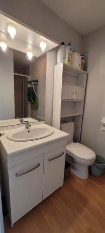 Location Appartement 1 pièce 13m² ST OMER 62500 - Photo 4