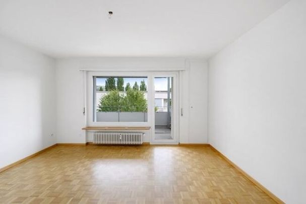 Bright, charming apartment / apartment lumineux et charmente - Photo 1