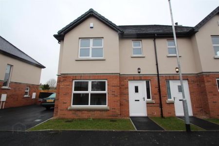 22 Weavers Court, Lurgan, Craigavon, BT66 8FB - Photo 5