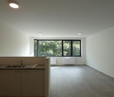 Nederrij 9, 2200, Herentals - Photo 6