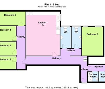 Room in a Shared Flat, Ranelagh Street, L1 - Photo 1