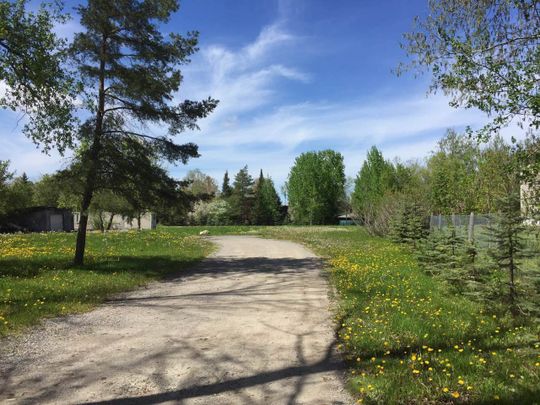 For Lease - 3358 Ravenshoe Road, Georgina, Ontario - Photo 1