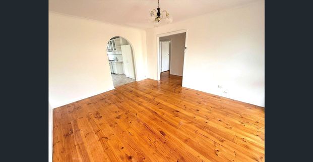 HOW BIG’S YOUR COURTYARD? - Photo 1