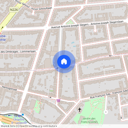 Ter Kamerenstraat 162, 1200 Sint-Lambrechts-Woluwe