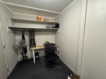 Large 3 bedroom apartment in Mt Vic - Photo 4