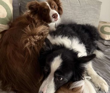 Forrestfield - Photo 1