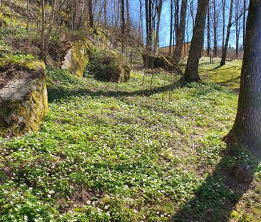 Liljebergsgatan 53 - Foto 4