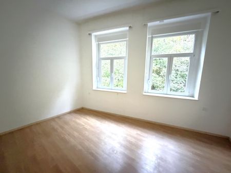 Spacieux salon avec cheminée - Photo 2