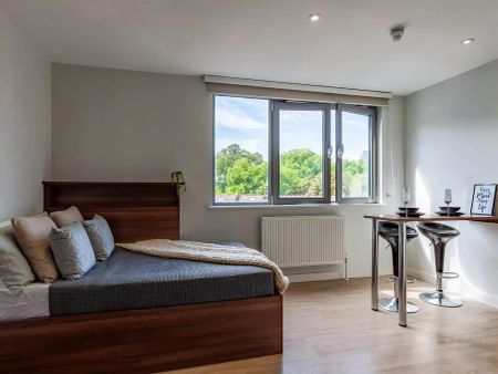 Deluxe Studio - Photo 5