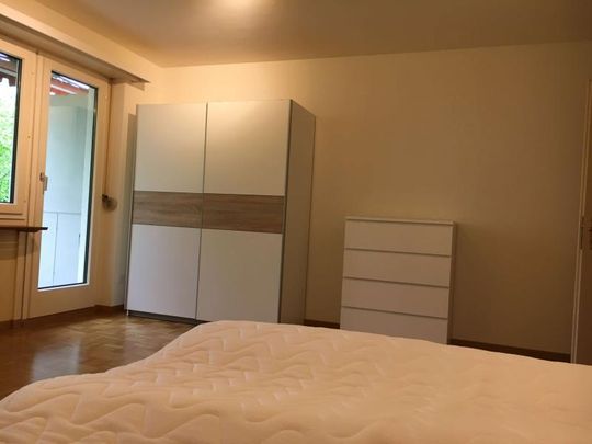 Simon #3 - Experience 60's Charm in Zürich's Green Oasis - Foto 1