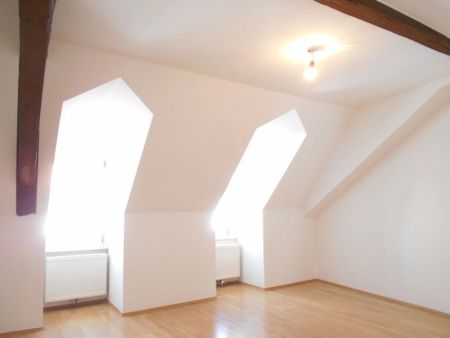 Dietrichsteinplatz charmante 2ZI+Küche - Foto 2