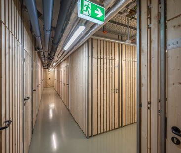 ++NEU++ außergewöhnliche 3-Zimmer-Wohnung mitten im Herzen der Stad... - Foto 6