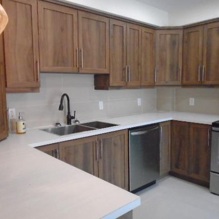 5 ½ Papineau et Louvain 5 électros à Montréal LIBRE - Photo 3