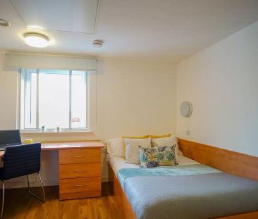 Platinum Studio - Photo 6