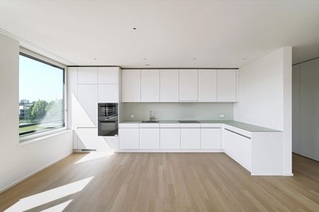 Élégant dans le penthouse au-dessus des toits d’Allschwil - Photo 3