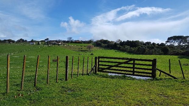 Property Management400 Waitakere Rd, Taupaki - House for Rent - Photo 1