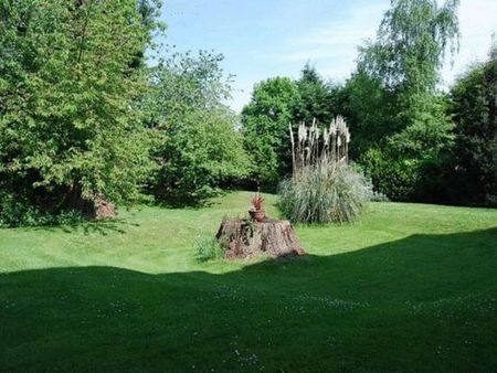 Morgan Court, Malvern - Photo 4