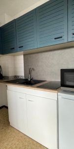 Location Appartement 1 pièce 27m² CLERMONT FERRAND 63000 - Photo 3