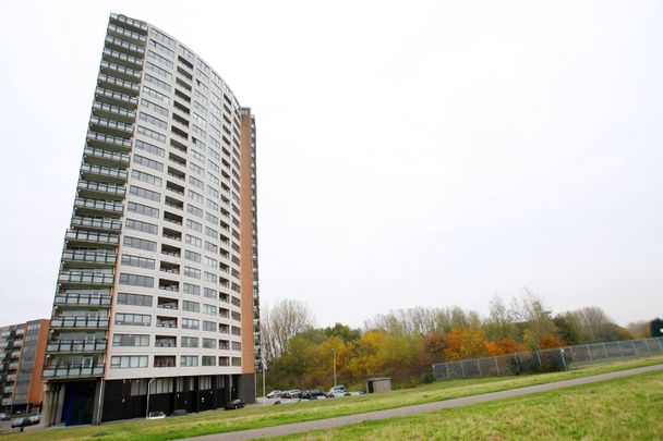 Hoge Filterweg 268, 3063KE Rotterdam - Photo 1