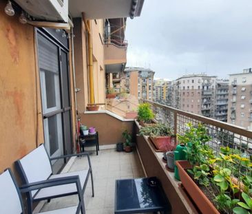 Trilocale in affitto - Photo 1