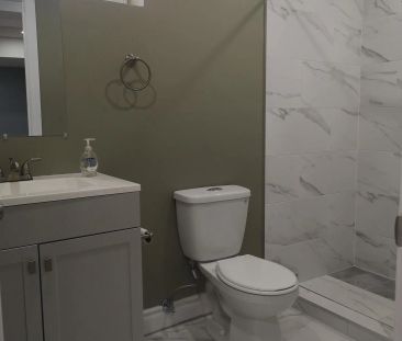 46 Sharon Court #Lower Level - Photo 3