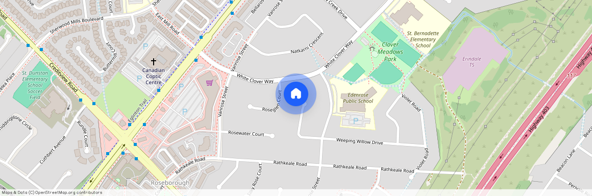 1325 Beauty Bush Court Unit# Bsmt, Mississauga