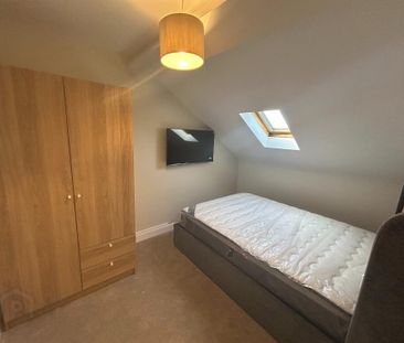 Ulsterville Gardens, Belfast, BT9 7BA - Photo 5