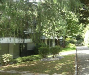 Location appartement de 25 m² - 1 pièces à Vannes - Photo 4