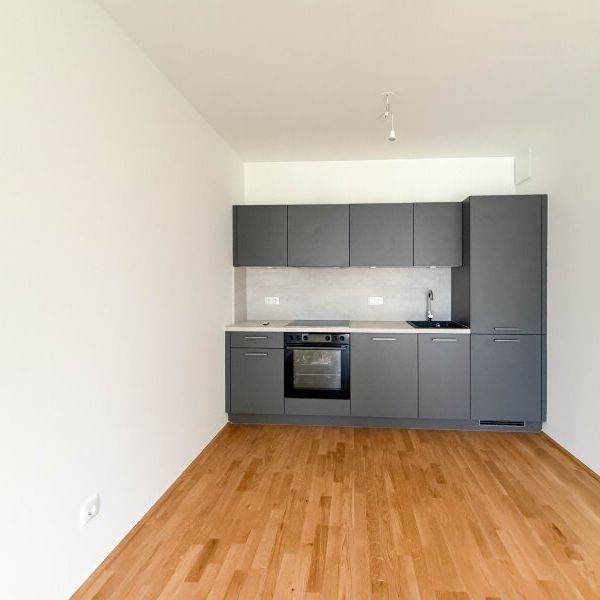 INA - Gartenwohnung nähe Wasserspielplatz Leberberg - Photo 1