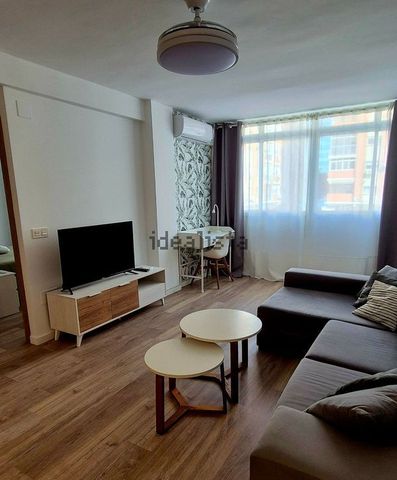 Alquiler de piso en Calle Cancho Perez, 7 - Photo 4