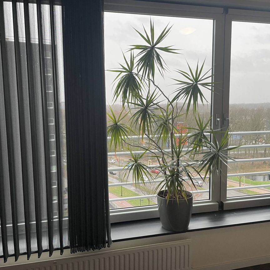 Te huur: Appartement Spijkerhofplein in Nijmegen - Foto 1