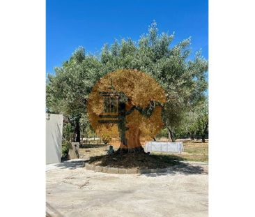 Faro, Faro 8800-102 - Photo 5