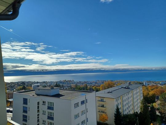 Chemin de Pierrefleur 28, 1004, Lausanne - Photo 1