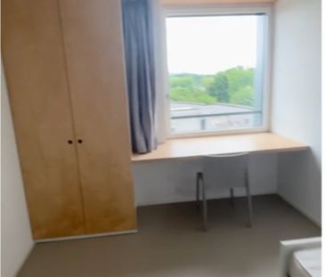 1 Zimmer - Photo 1