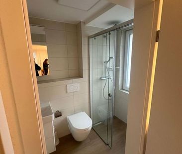 Charming Apartment in Fahrweid für modernes Leben - Photo 4