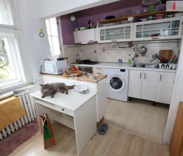 Pěkný mezonetový byt 3+1 v rodinné vile s možností užívat zahradu - Photo 6
