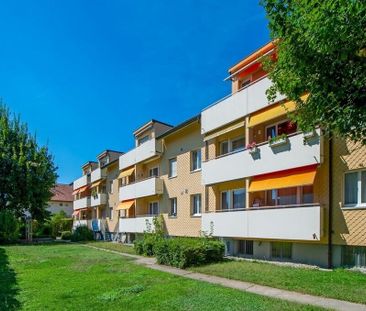 Familiennest gesucht? - Foto 1