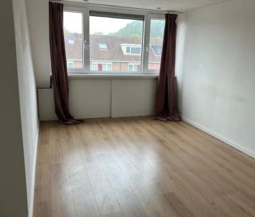 Petmolenstraat - Photo 5
