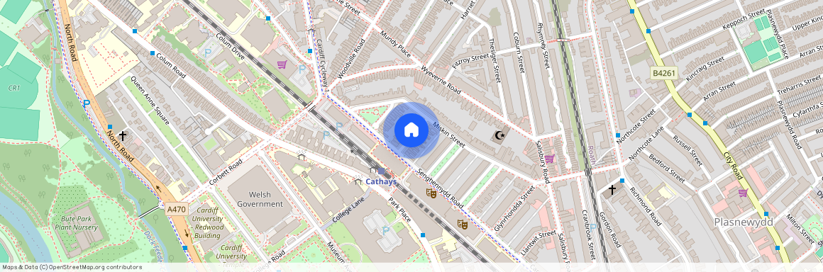 Llandough Street, CF24 4AW, Cathays