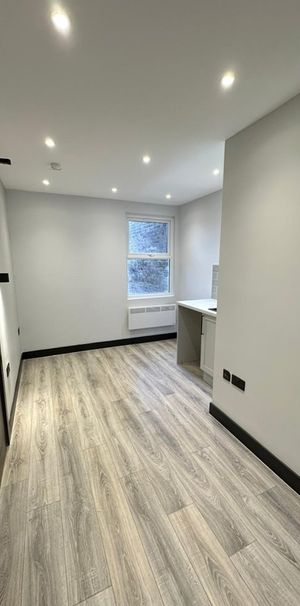 Studio Flat, High Street, W3 - Photo 1
