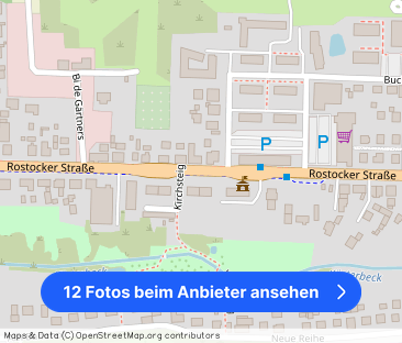 Sanitz: 4-Zi.-EG-Whg. mit Designbe., Wohnkü. o EBK u. mod. Du.-Bd m... - Foto 1