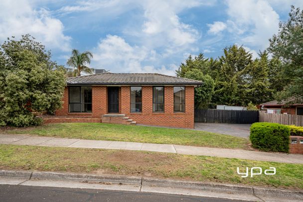 A Place To Call Home- Renovated Property in a Great Location. - Photo 1