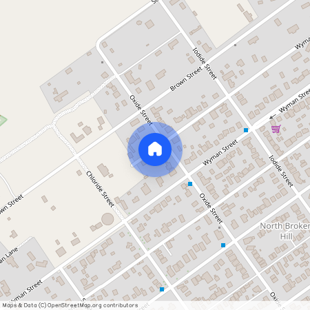 335 Wyman Ln, NSW 2880, Broken Hill