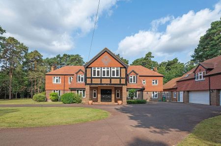 6 bedroom detached house to rent - Photo 4