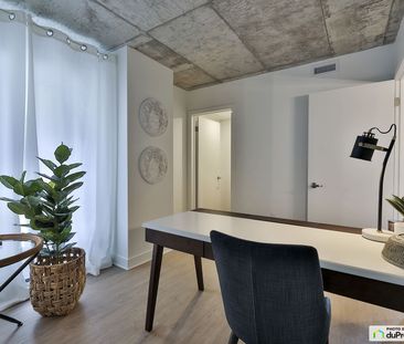 5300 rue Molson -Unité 3 ½ -Unicité Rosemont, Rosemont / La Petite Patrie à louer - Photo 5